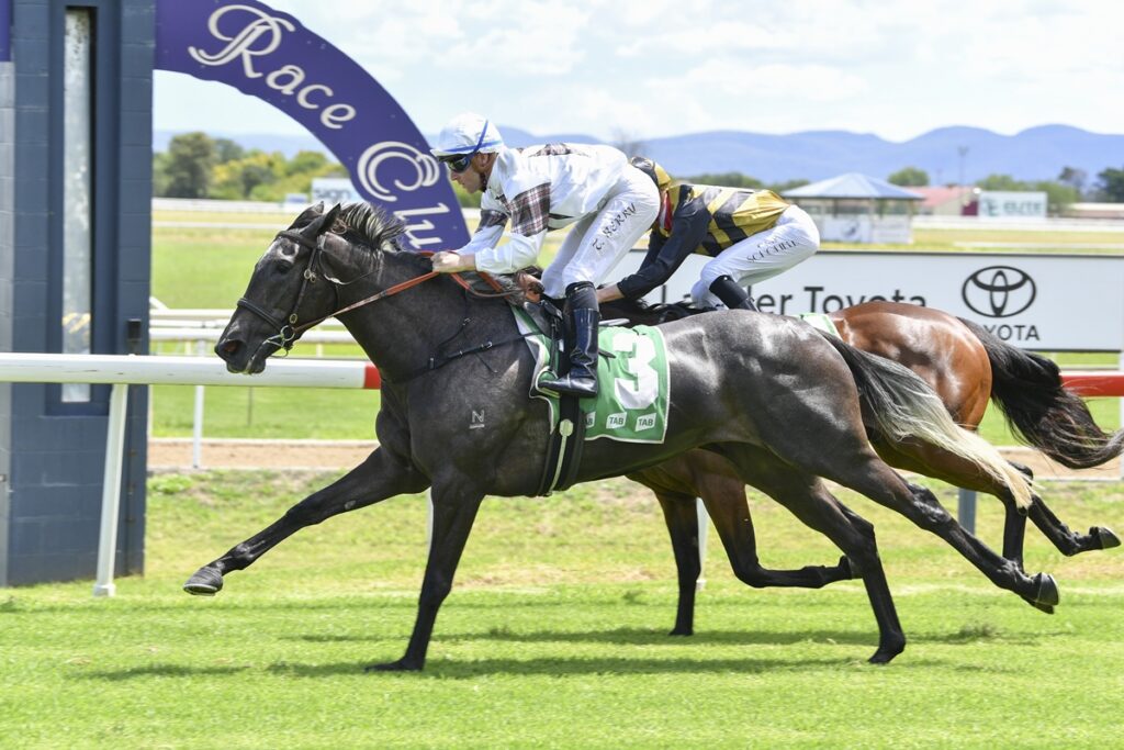 Our Gold Hope | Just Horse Racing