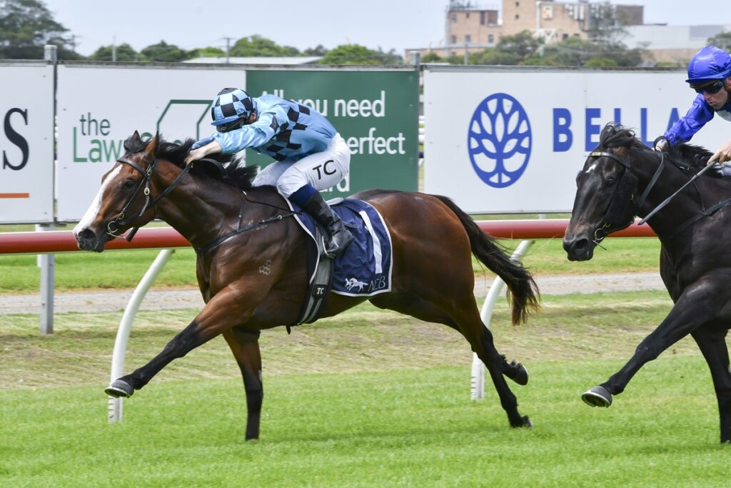 | Just Horse Racing Blitzburg