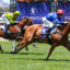 Cavalry Girl_18-01-2025_WIN_Flemington_2__169 | Just Horse Racing