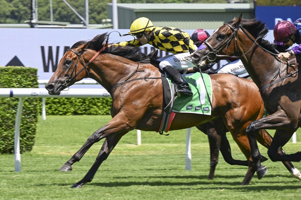 2045941.jpg | Just Horse Racing