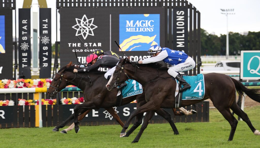 Encoder 1 | Just Horse Racing
