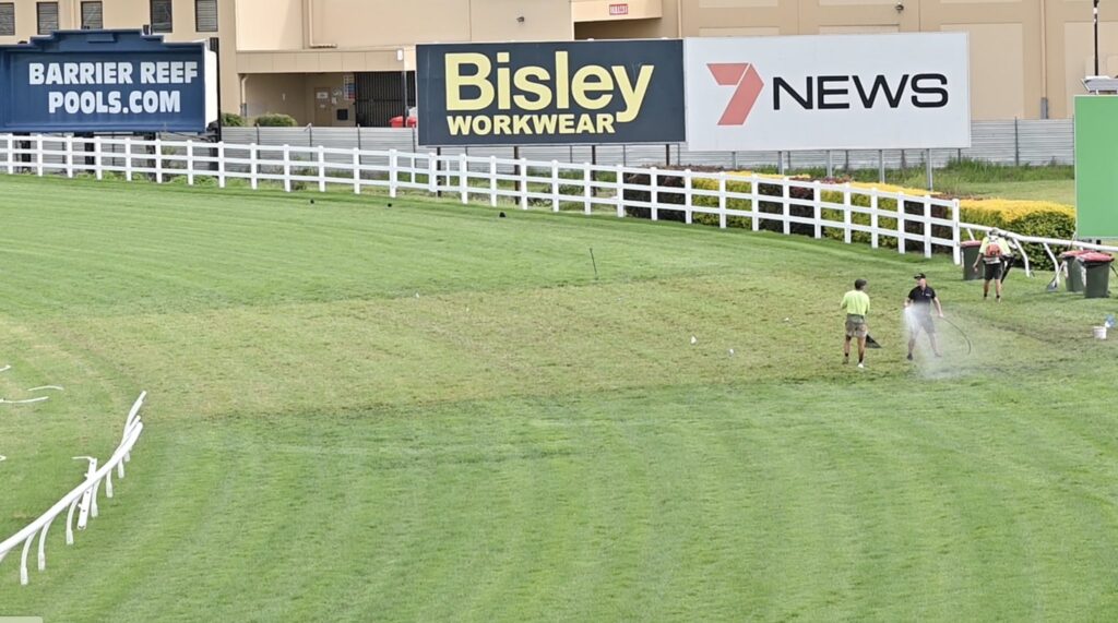 Gold Coast new turf | Just Horse Racing
