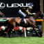 GrandPierro-20250101-0904 | Just Horse Racing