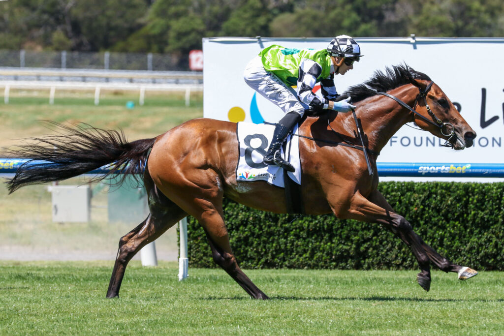Kings Valley_25-01-2025_WIN_Sandown_6__1094 | Just Horse Racing