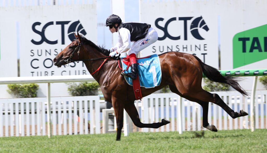 La Bella Boom | Just Horse Racing