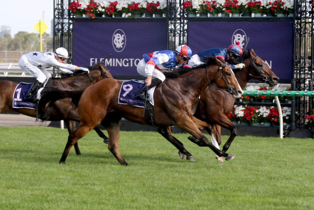 Layeruponlayer-20250101-4974 | Just Horse Racing