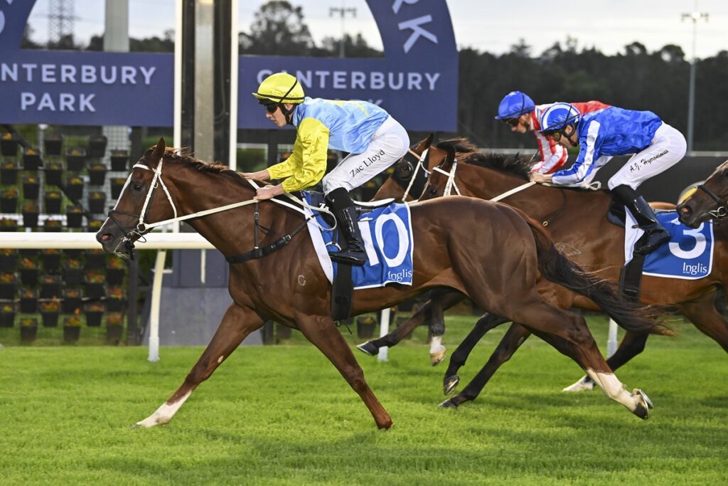 2042129.jpg | Just Horse Racing