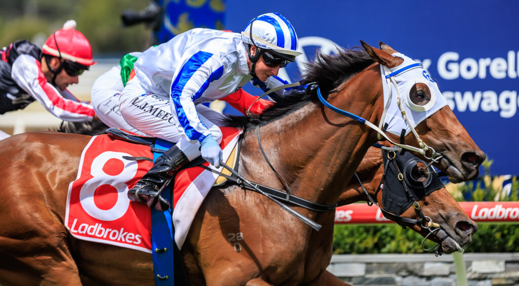 Geelong Race Day: | Just Horse Racing