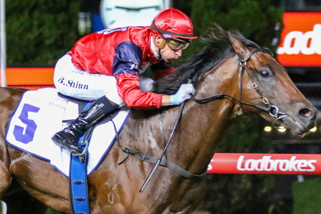 Schwarz,Australia Stakes,Group 2_24-01-2025_WIN_Moonee Valley_7__1499 | Just Horse Racing