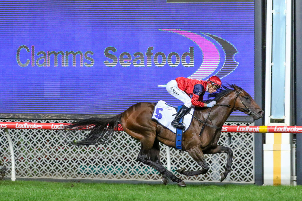 Schwarz,Australia Stakes,Group 2_24-01-2025_WIN_Moonee Valley_7__1504 | Just Horse Racing