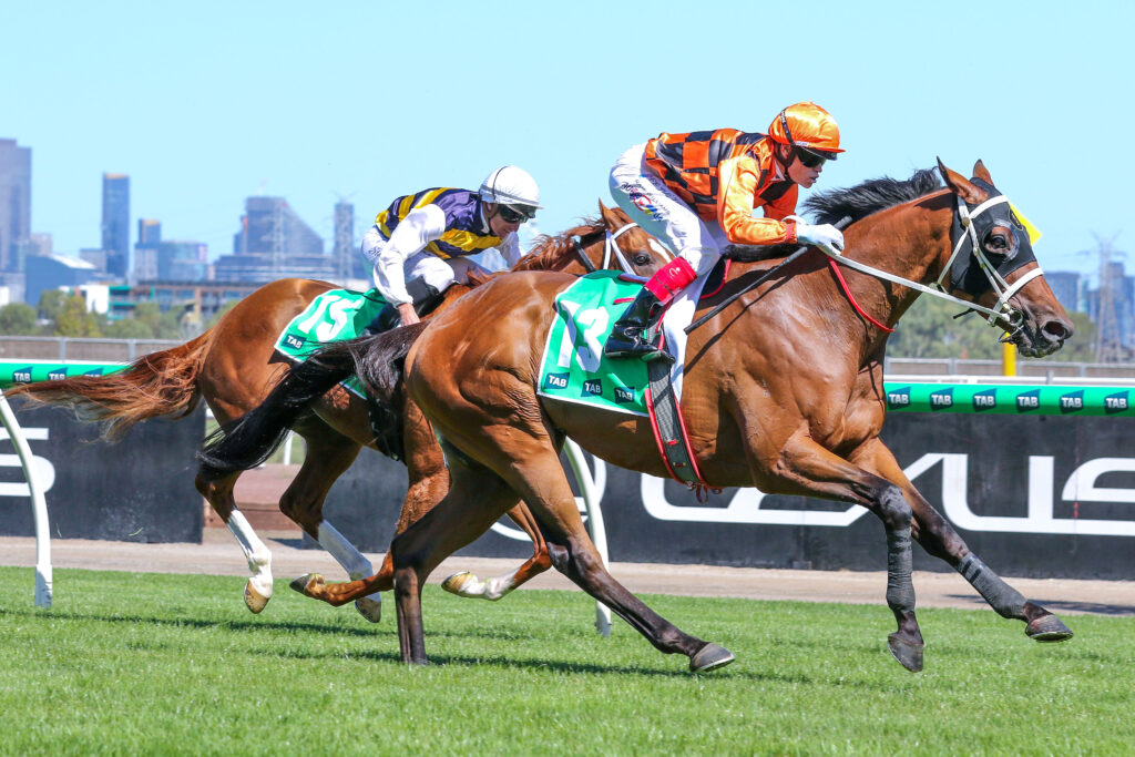 Shaiyhar_18-01-2025_WIN_Flemington_8__887 | Just Horse Racing