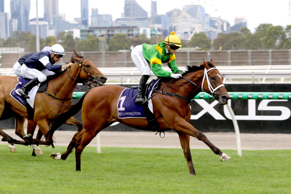Taramansour-20250111-1415 | Just Horse Racing