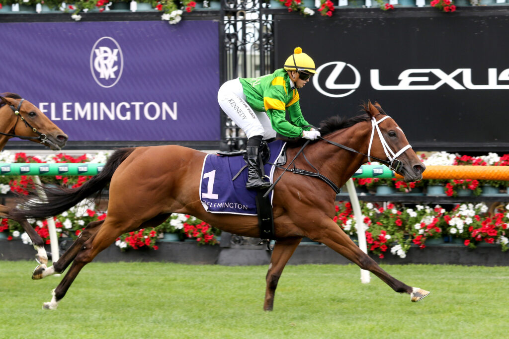 Taramansour-20250111-1420 | Just Horse Racing