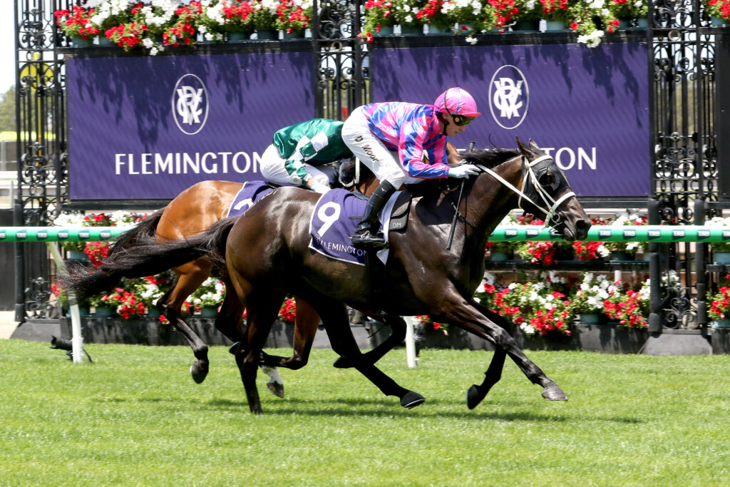Thedoctoroflove-20250111-1182 | Just Horse Racing
