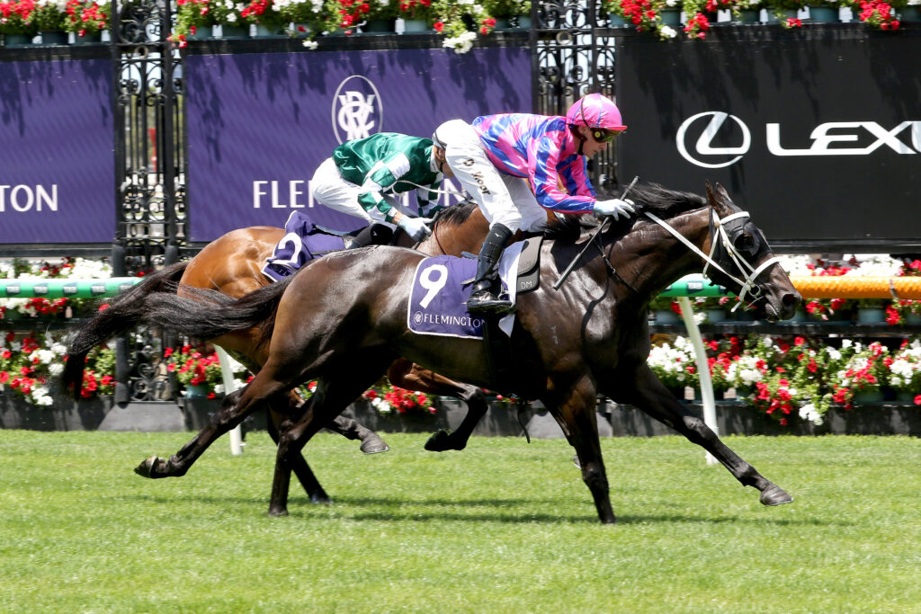Thedoctoroflove-20250111-1183 | Just Horse Racing
