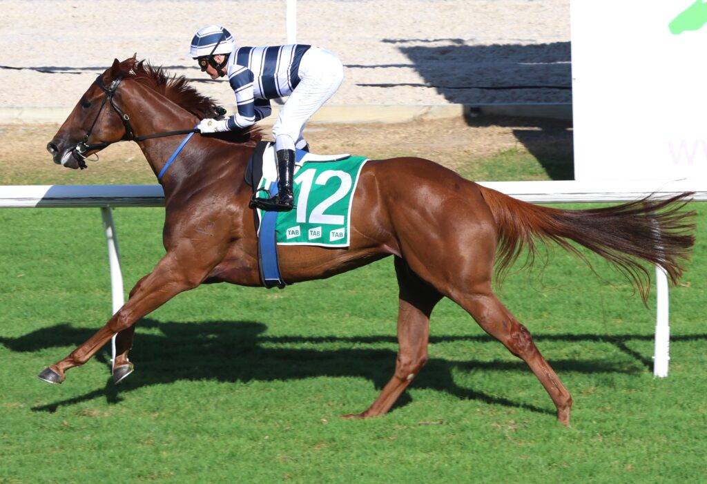 pickadae 2 | Just Horse Racing