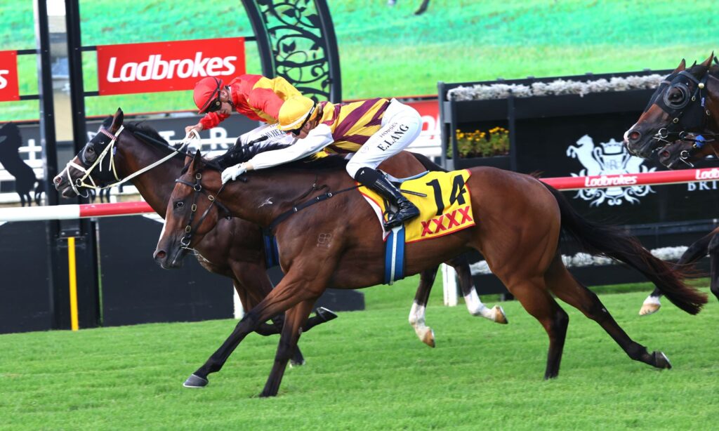 the gambling greek 3 | Just Horse Racing