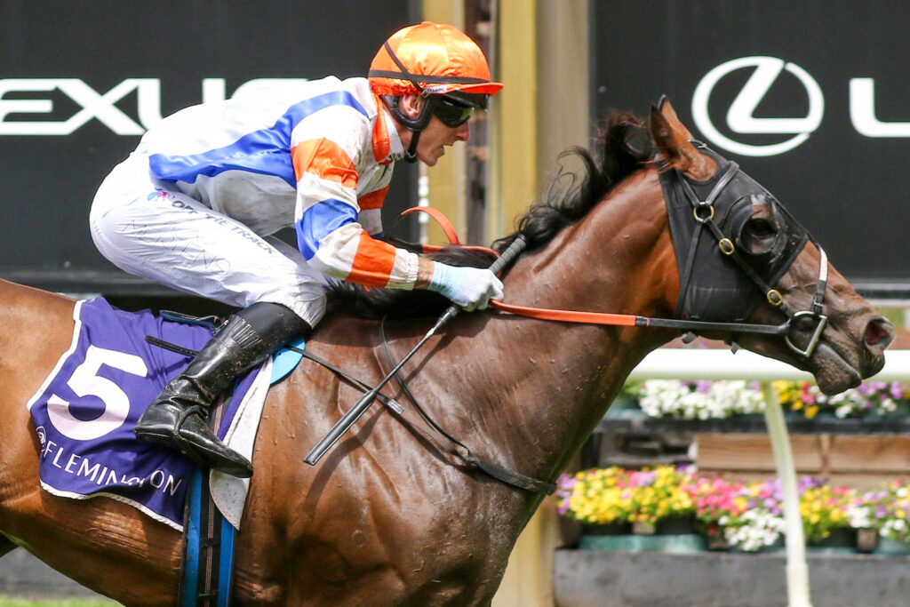 0BOSSY NIC9A0864 | Just Horse Racing