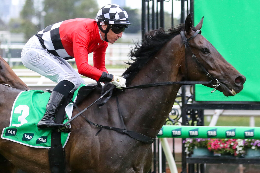 0Revelare9A0066 | Just Horse Racing