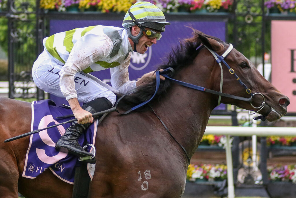 0SKYBIRD9A1302 | Just Horse Racing