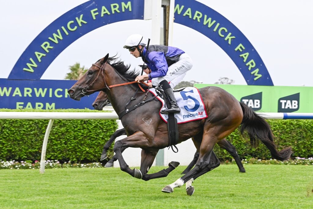 2053028.jpg | Just Horse Racing