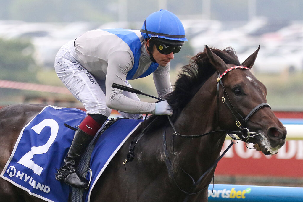 ANGEL CAPITAL (2) | Just Horse Racing