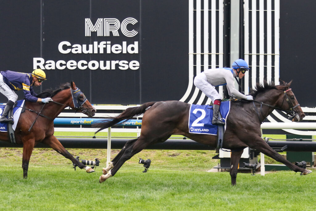 ANGEL CAPITAL (6) | Just Horse Racing