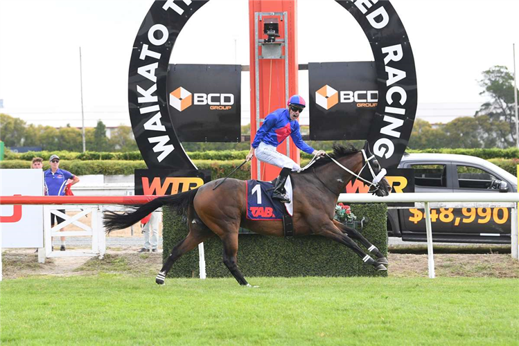 El Vencedor | Just Horse Racing