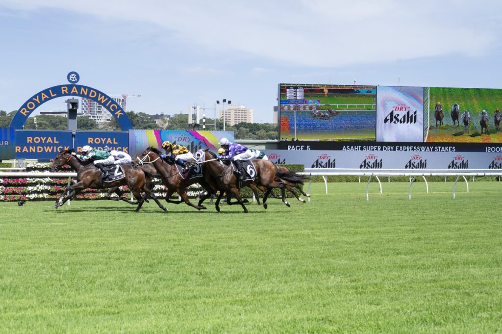 2058961.jpg | Just Horse Racing