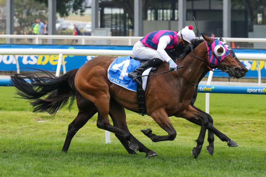 Rey Magnerio (4) | Just Horse Racing