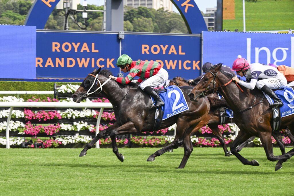 Randwick Races