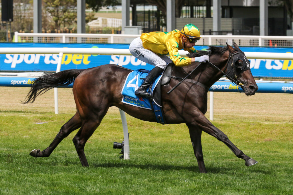 Shanwah,Autumn Stakes,Group 2_22-02-2025_WIN_Caulfield_3__347 | Just Horse Racing