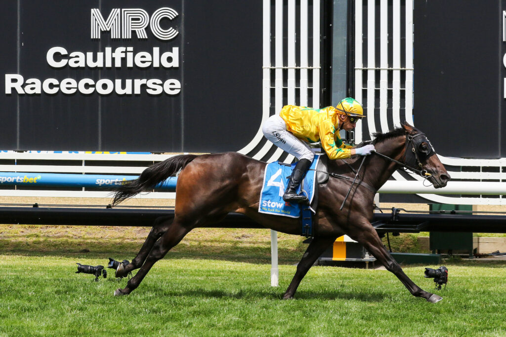 Shanwah,Autumn Stakes,Group 2_22-02-2025_WIN_Caulfield_3__352 | Just Horse Racing
