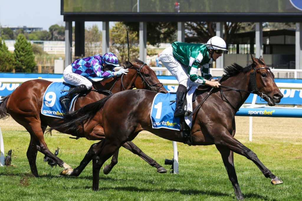 TreasureThe Moment,Angus Aramasco Stakes,Group 2_22-02-2025_WIN_Caulfield_5__599 | Just Horse Racing