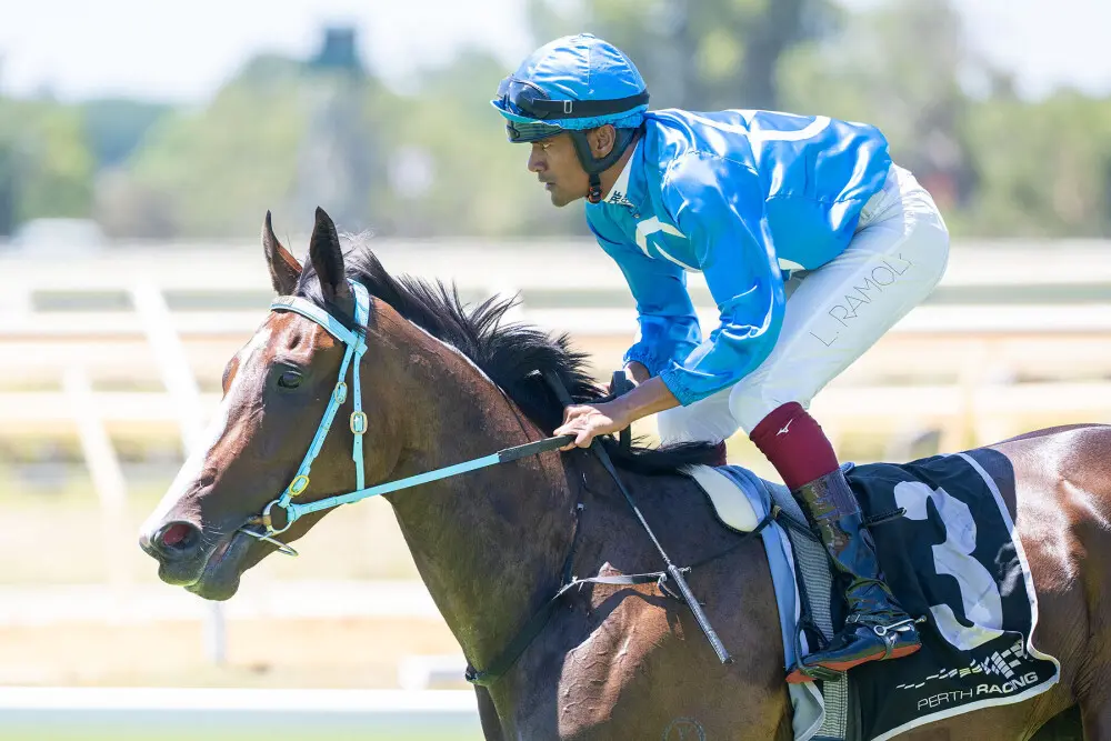 Strideaway set for Magic Millions goal | Just Horse Racing