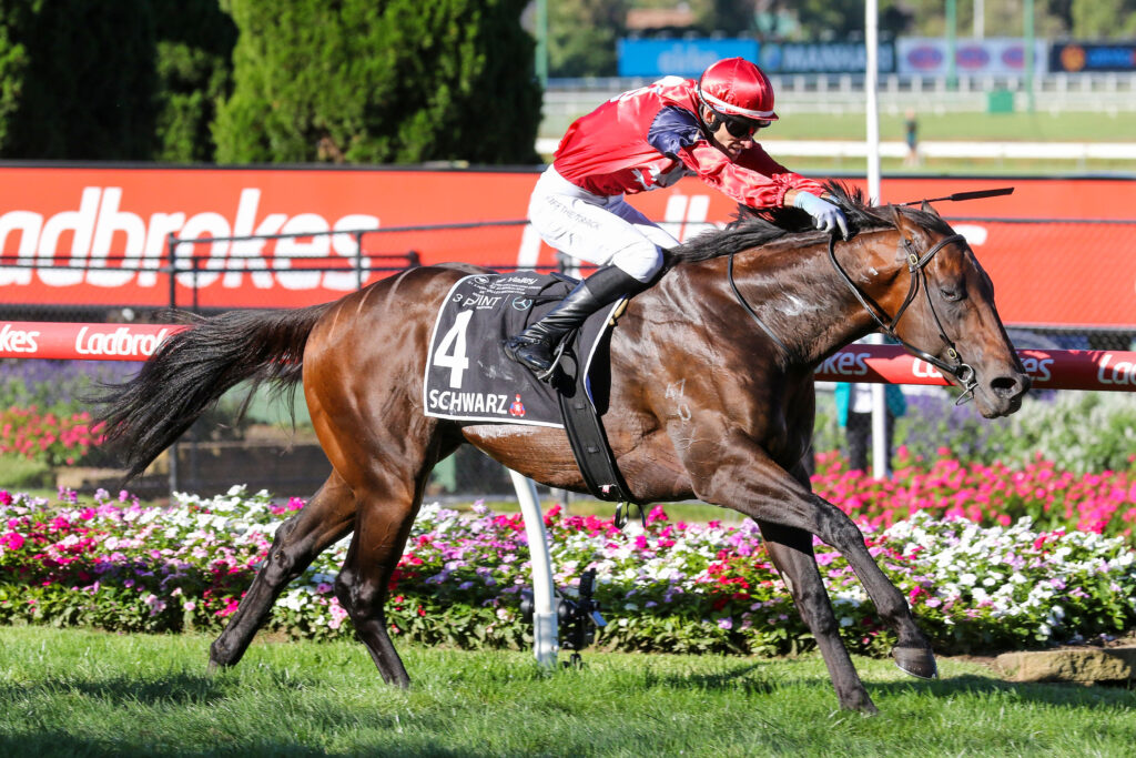 0SCHWARZ9A1423 | Just Horse Racing