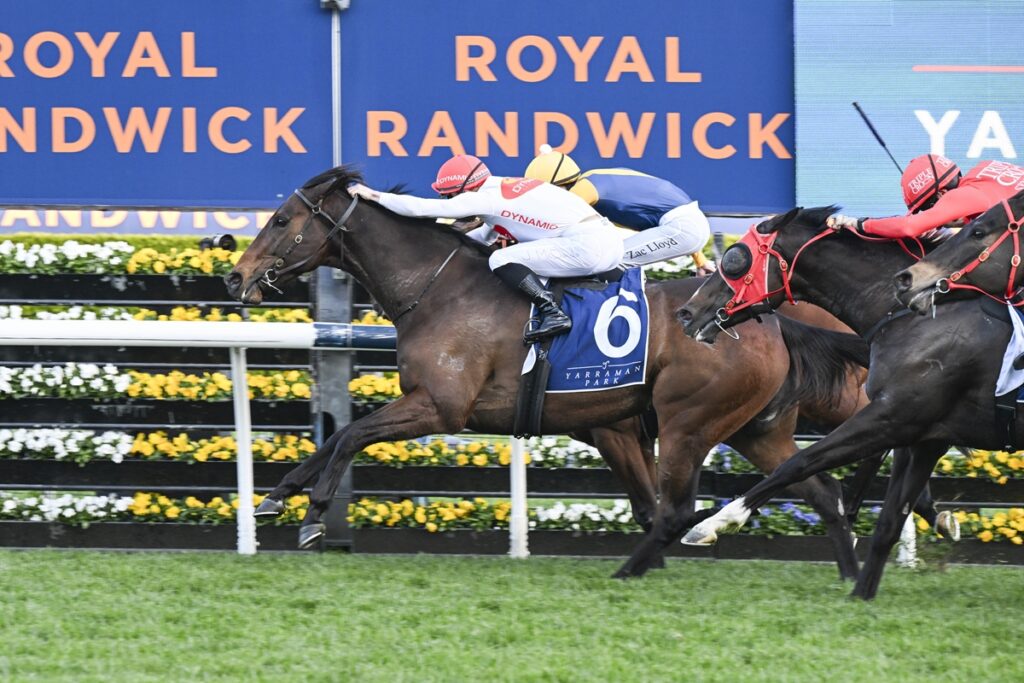 I Am Me.jpg | Just Horse Racing I Am Me