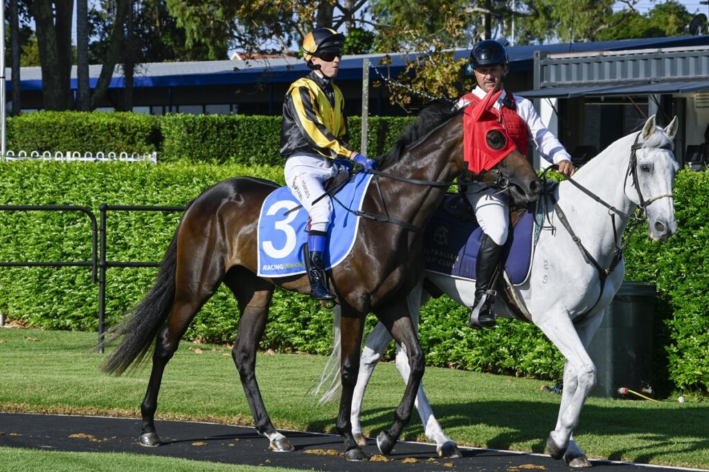 2054289.jpg | Just Horse Racing