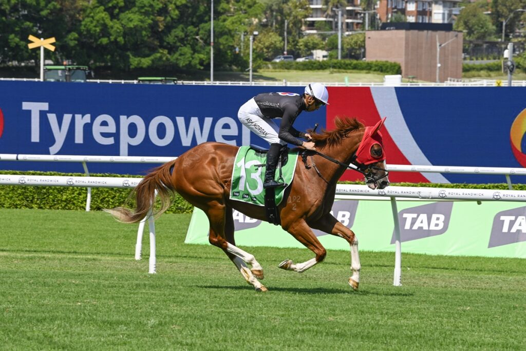 2068030.jpg | Just Horse Racing