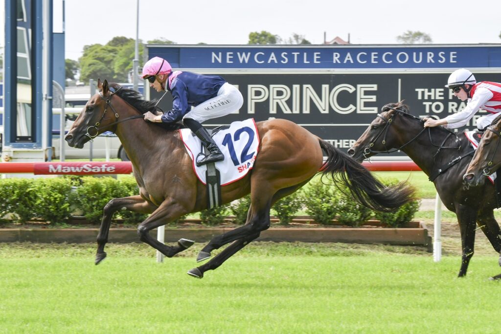 2071310.jpg | Just Horse Racing