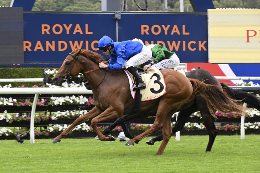 Tempted | Just Horse Racing