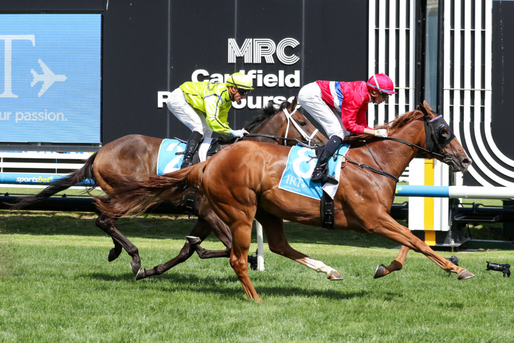 Benagil_15-03-2025_WIN_Caulfield_5__642 | Just Horse Racing