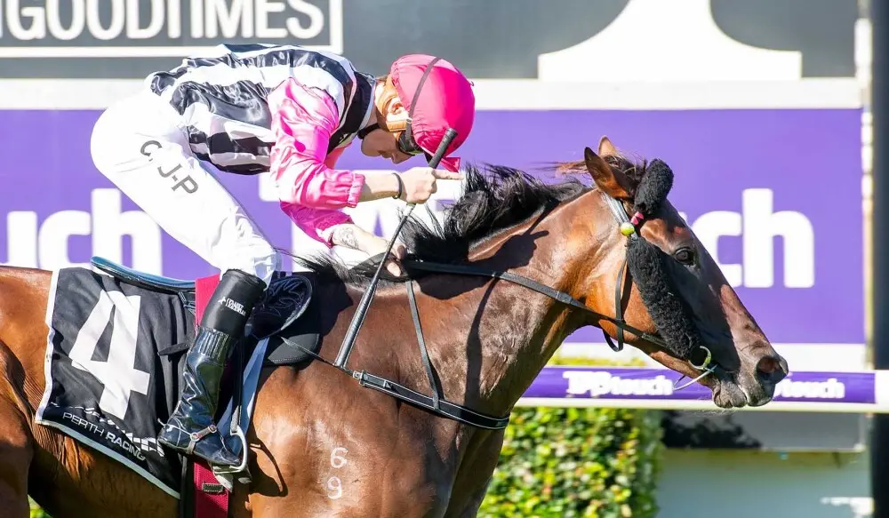 Bonjoy | Just Horse Racing