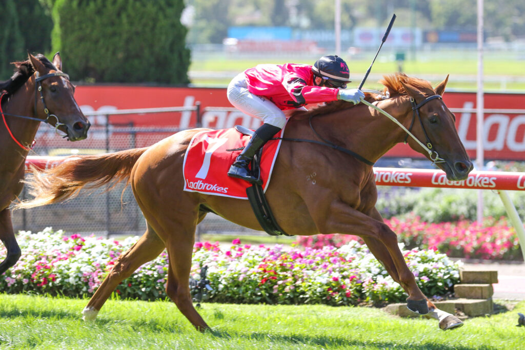 Bur Dubai_22-03-2025_WIN_Moonee Valley_1__93 | Just Horse Racing