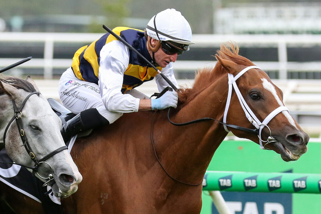 DEAKIN (3) | Just Horse Racing