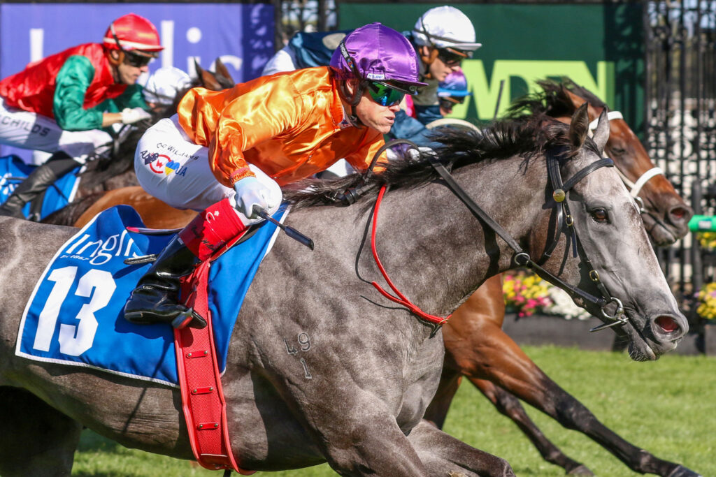 EL MORZILLOV9A1448 | Just Horse Racing