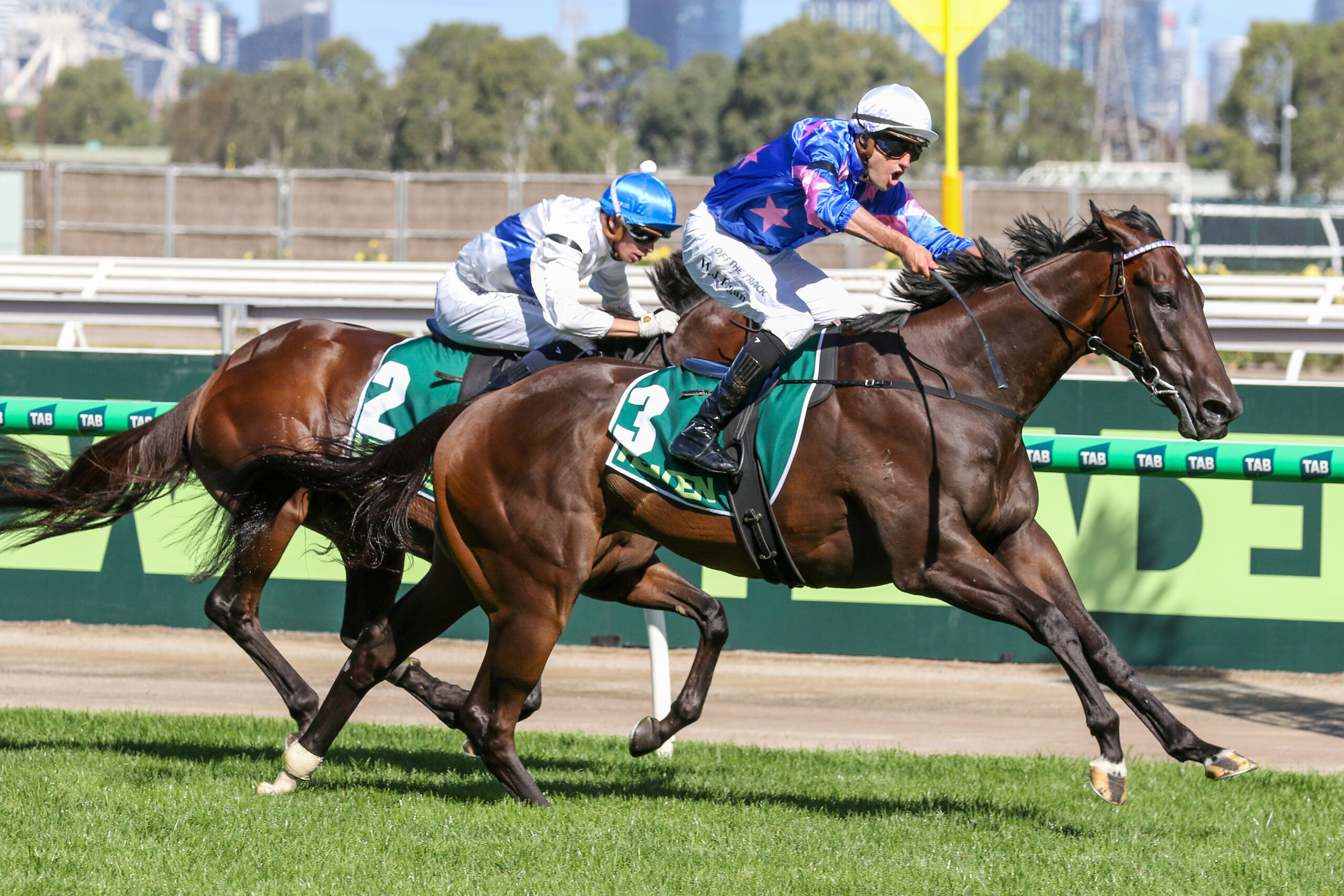 Sutton keeping an open mind with Feroce | Just Horse Racing