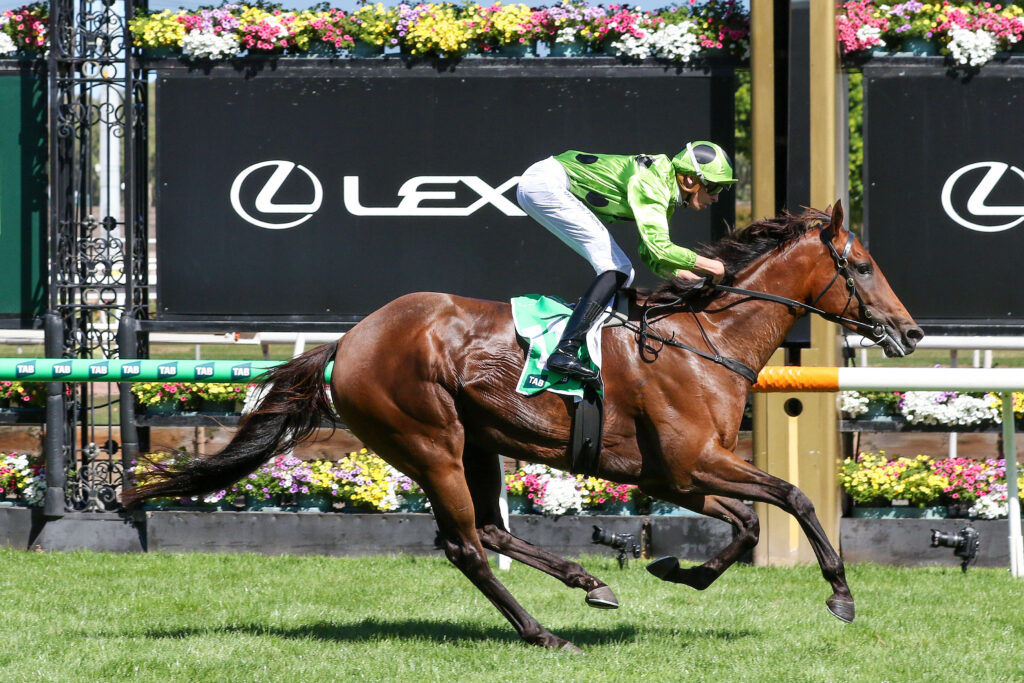 MARBLE ARCHV9A1MARBLE ARCH21 | Just Horse Racing