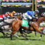 Middle Earth,Australian Cup Prelude_08-03-2025_WIN_Flemington_6__739 | Just Horse Racing