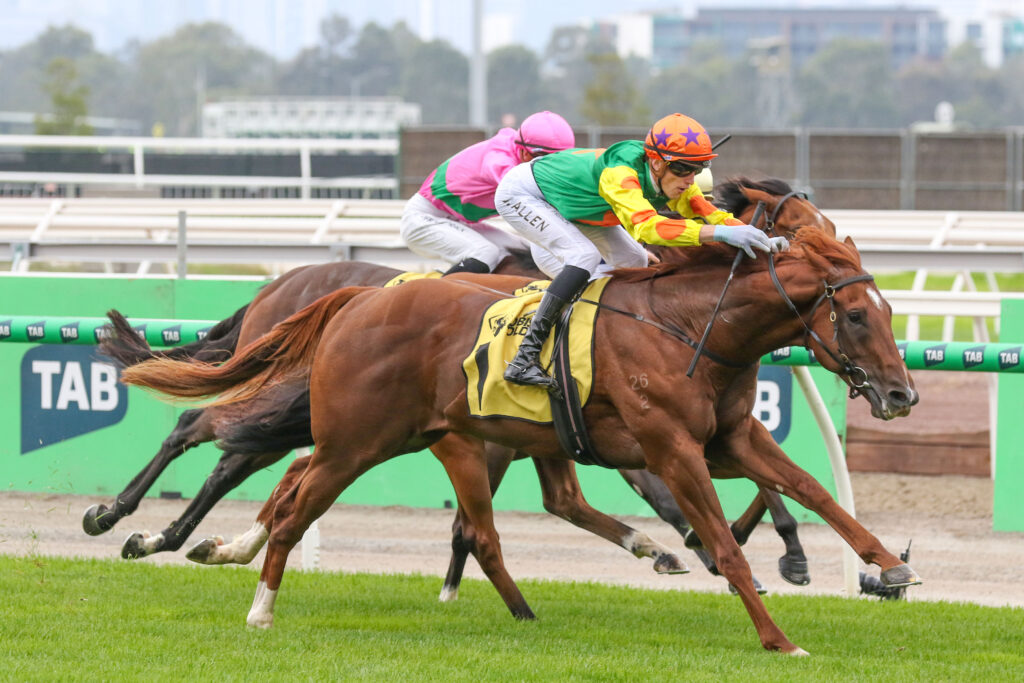 Prestige Ole_29-03-2025_WIN_Flemington_2__173 | Just Horse Racing